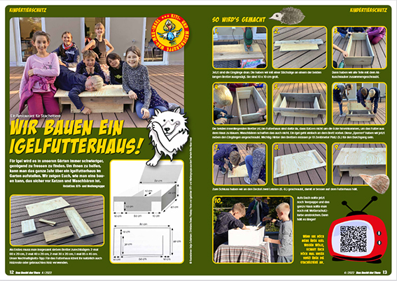 Wir bauen ein Igelfutterhaus - Auszug aus Tierschutzmagazin Ausgabe 4/2022